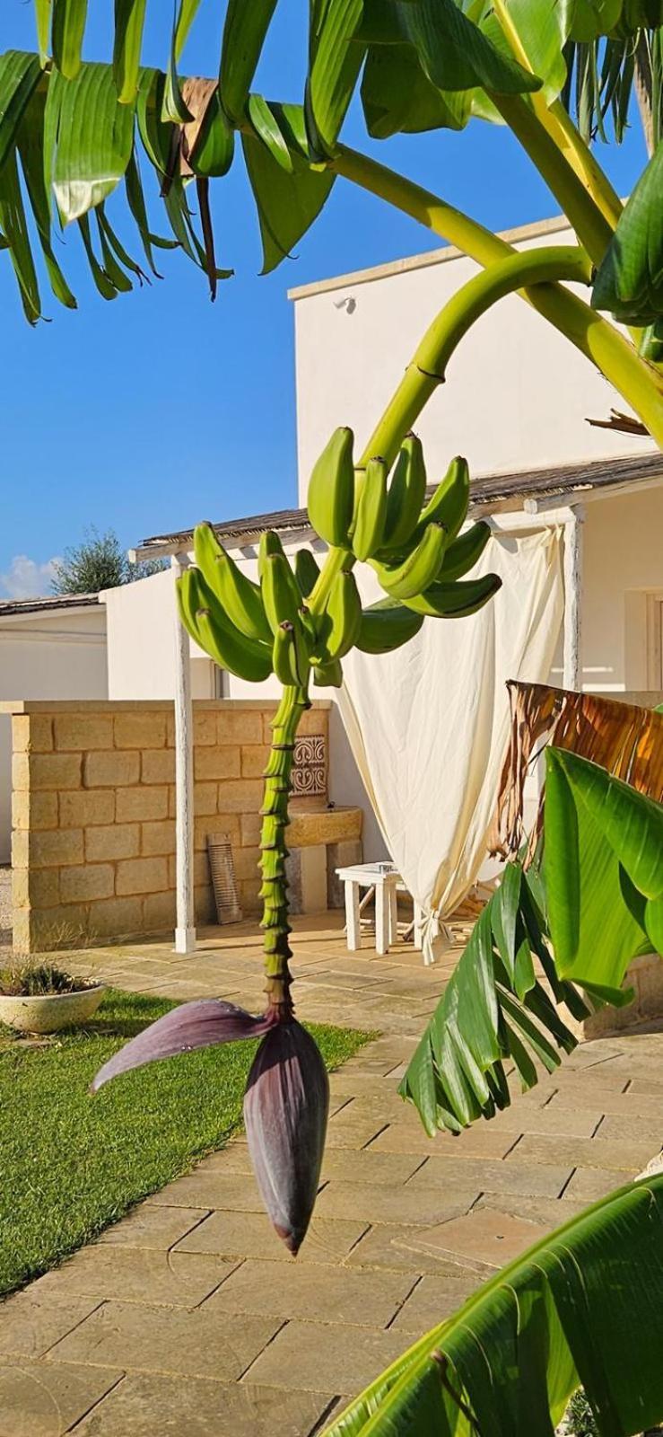 Tenuta Puloni Отранто Экстерьер фото